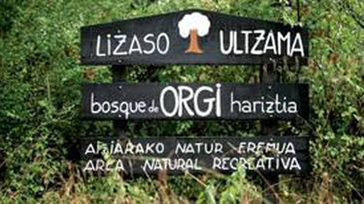 Orgi basoan kontu kontari