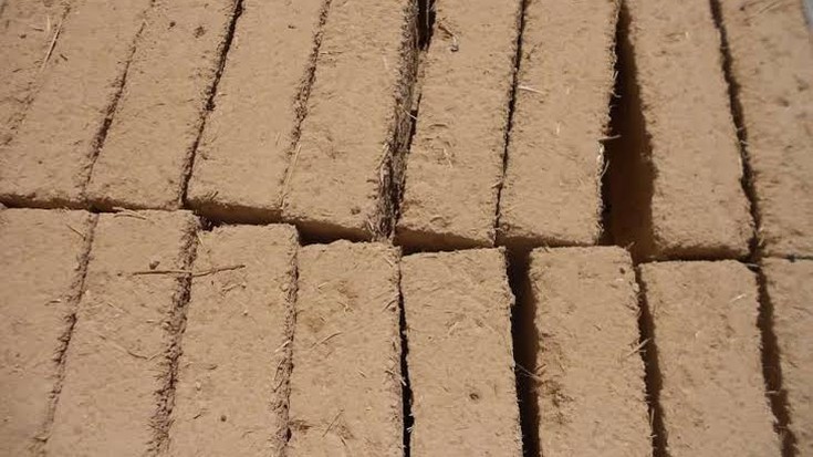 Bioeraikuntzaren onurak ez ditzala merkatuak irentsi