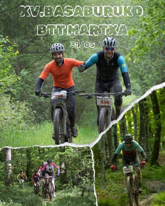 Basaburuko XV. BTTa