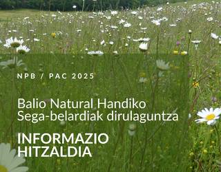 Sega-belardiendako dirulaguntzak abian, NPBren baitan